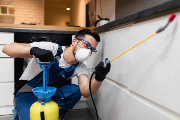 Best Affordable Pest Control Services  in Allendale, NJ