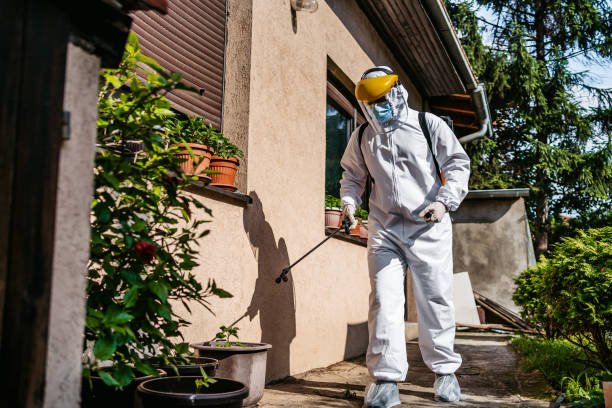 Best Insect Control  in Allendale, NJ