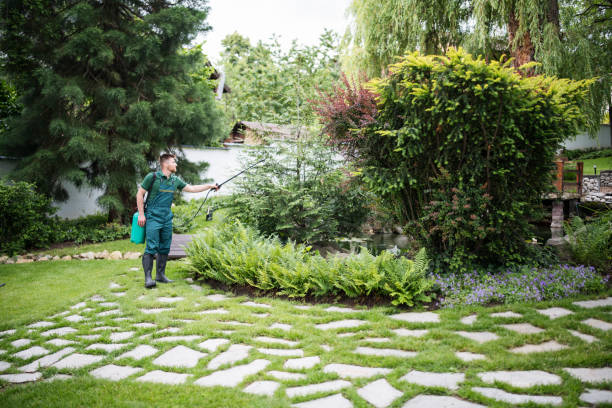 Professional Pest Control in Allendale, NJ