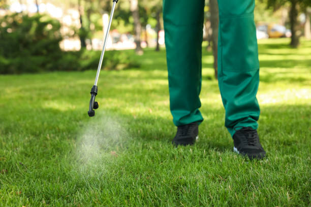 Best Mosquito Control Services  in Allendale, NJ
