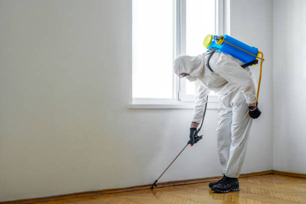 Best Cockroach Control Services  in Allendale, NJ