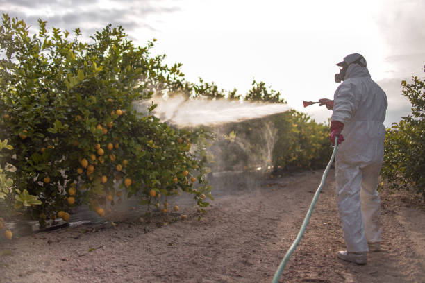 Best Affordable Pest Control Services  in Allendale, NJ